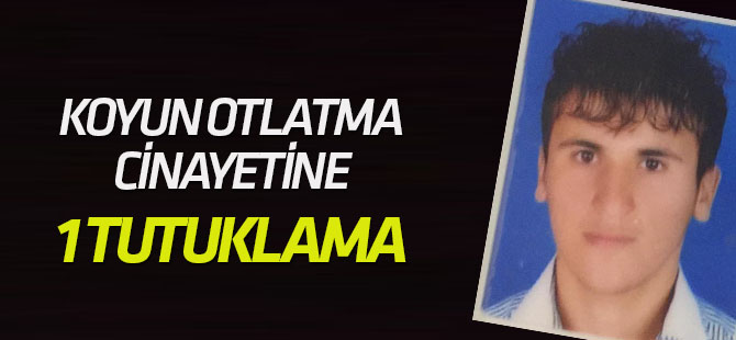 Koyun otlatma cinayetine 1 tutuklama