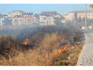Antalya’da 2 noktada orman yangını