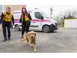 Sokak hayvanlarına özel klinik ve ambulans