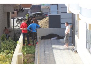 İnşaattan düşen Suriyeli işçi hayatını kaybetti