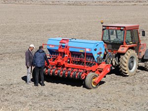 Kulu'da anıza doğrudan ekim