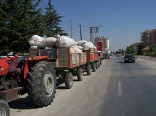 Beyşehir’de haşhaş kabuğu alımları başladı