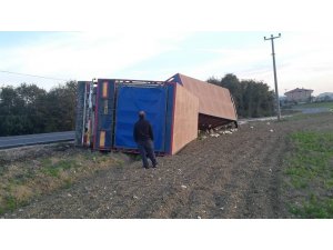 Sakarya’da canlı tavuk yüklü kamyon devrildi