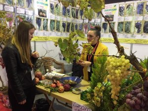 Tarımın kalbi Manisa’da atacak