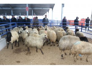 Çiftçilere 16 milyon TL’lik destekleme yapıldı