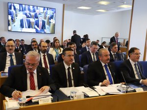 Kalaycı, komisyonda konuştu