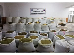 Diyarbakır’da terör örgütüne büyük darbe