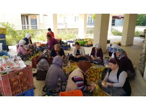 Kısır gününde ortaya çıkan fikir mahallenin kadınlarını iş sahibi yaptı