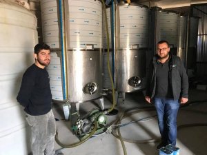 Mut’a günlük 200 ton zeytinyağı üretiliyor