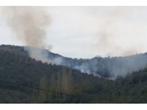 Erdek’te arazi yangını