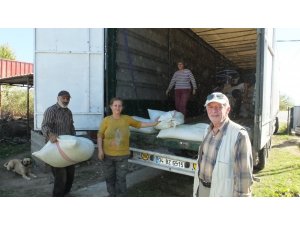 Burhaniye şeker otu üretim merkezi oldu