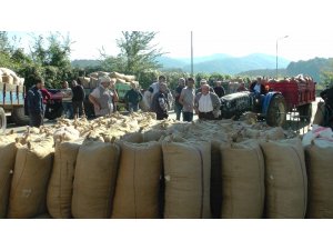 TMO'nun fındık alımı üreticiye yaradı