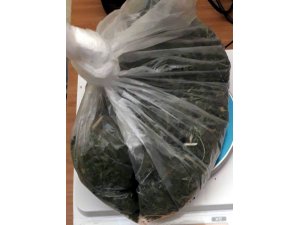 Manisa’da şüpheli araçtan esrar çıktı