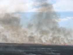 Anız yangını iki gündür söndürülemiyor