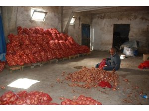 Soğan depolarda çürümeye başladı, fiyat artışı bekleniyor