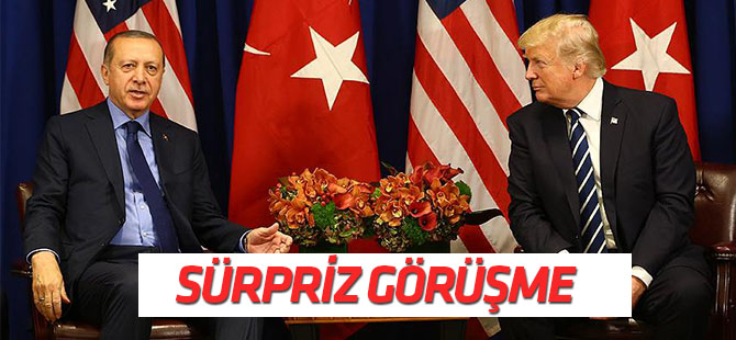 Erdoğan, Trump ile görüştü