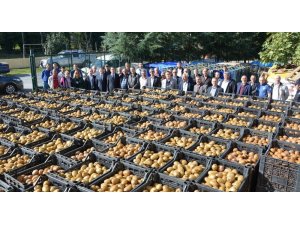 19 Mayıs’ta kivi hasadı