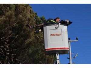 Kozalak toplayan adam elektrik akımına kapılarak öldü