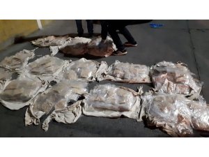 Koyun derilerinden 3 milyon 126 bin uyuşturucu hap çıktı