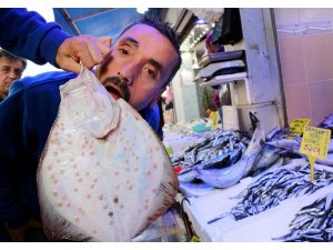 Palamut gitti, kalkan geldi