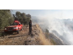 Aydın’da arazi yangını