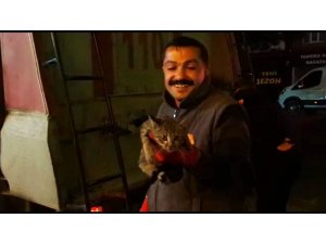 Tatvan’da kedi kurtarma operasyonu