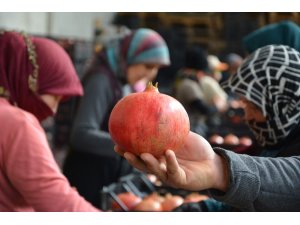 Rusya’nın narı Korkuteli’den ihraç ediliyor