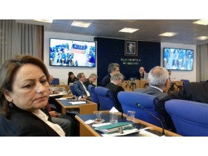 Şevkin: "Bu hızla giderse CEİEB, 591 yıl sonra kurulabilecek"