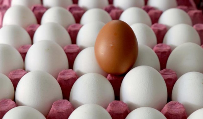 Şimdiden 2017'yi geçti... Yumurta ihracatı rekor üstüne rekor kırıyor!