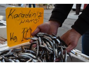 Karadeniz hamsisi tezgahlarda