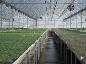 TARSİM'den hortum mağdurlarına 31 milyon liralık ödeme