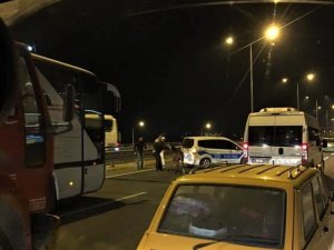 Başıboş atlar trafikte tehlike saçmaya devam ediyor
