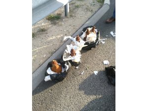 Niğde'de 2 bin yıllık şarap testileri ele geçirildi