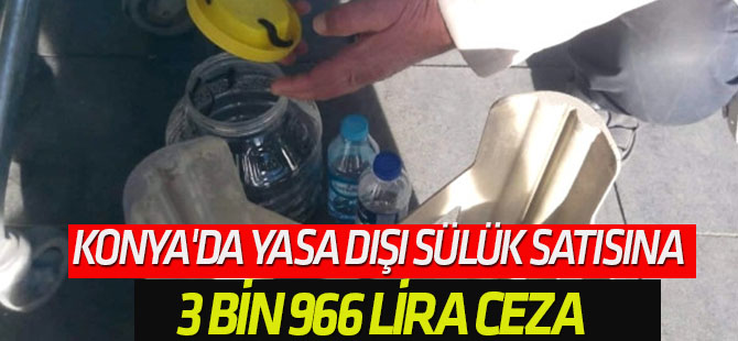 Konya'da Yasa Dışı Sülük Satısına 3 Bin 966 Lira Ceza