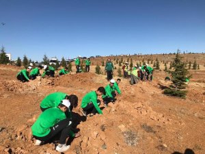 Genç Kartallar fidan dikti