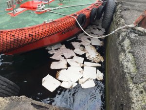 İzmit Körfezi'nde deniz kirliliği