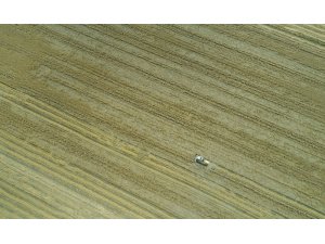 Adana Hazine arazilerini kiralamada yaptığı başvurularla ön sıralarda