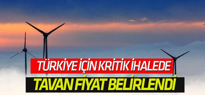 Türkiye için kritik ihalede tavan fiyat belirlendi
