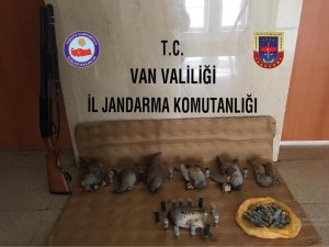 Çatak’ta kaçak avlanmış 7 keklik ele geçirildi