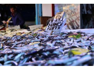 Yerli hamsi tezgahlardaki yerini aldı