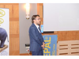 Palet havuzu kuruluyor