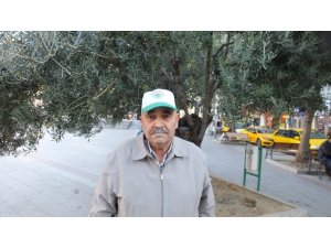 Edremit Körfezi’nde zeytinci devlet desteği bekliyor