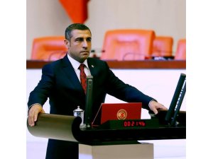 MHP’li vekil, otizm ve down sendromu sorununu TBMM’ye taşıdı