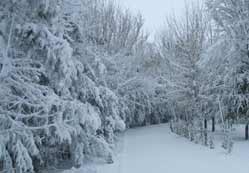 100. Yıl Kurtay tesisleri