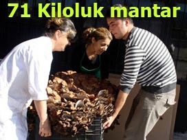 71 kiloluk mantar bulundu