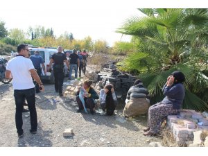 Koyun çaldılar, "sünnet düğünü yapacaktık" dediler