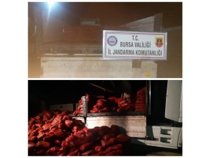 Jandarmadan gece görüşlü insansız hava aracıyla midye operasyonu