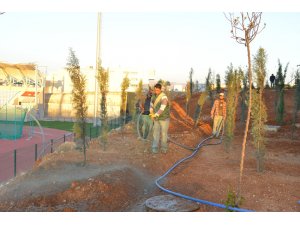 AEÜ'nün yerleşkesinde peyzaj çalışmaları