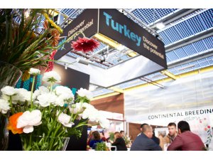 Hollanda'da Çiçekçilik Ticareti Fuarı'nda Türk standına yoğun ilgi