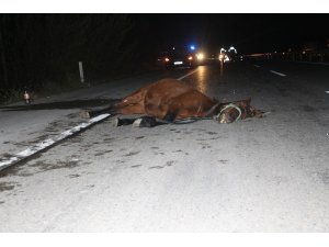Otomobil ata çarptı: 2 yaralı
